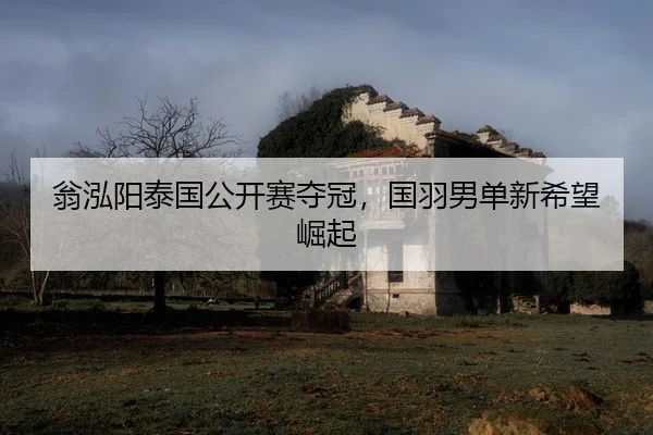 翁泓阳泰国公开赛夺冠，国羽男单新希望崛起