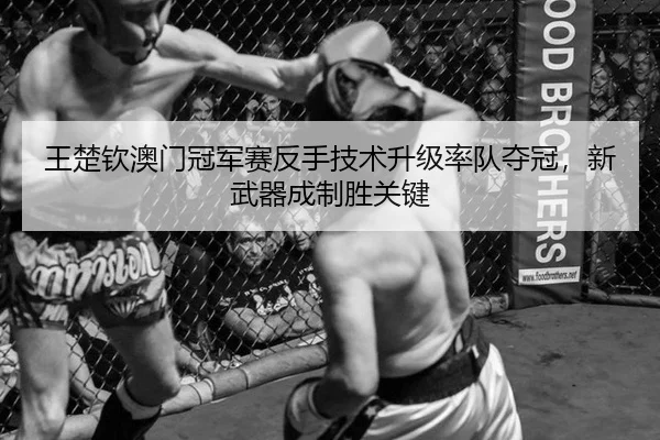 王楚钦澳门冠军赛反手技术升级率队夺冠，新武器成制胜关键