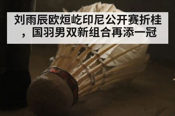 刘雨辰欧烜屹印尼公开赛折桂，国羽男双新组合再添一冠