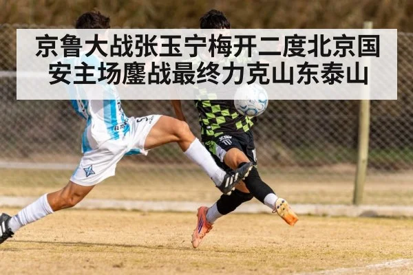 京鲁大战张玉宁梅开二度北京国安主场鏖战最终力克山东泰山
