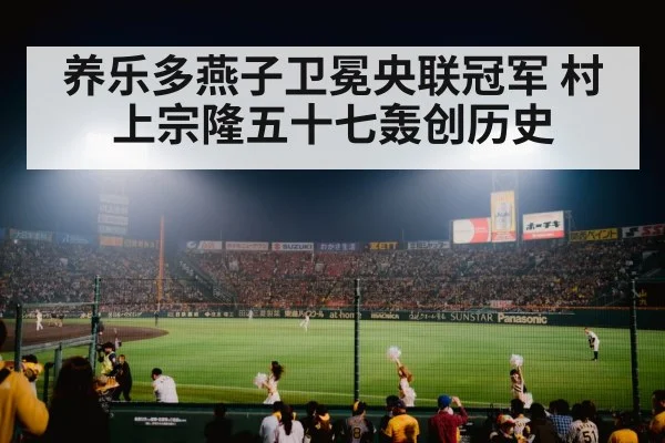Japanese baseball stadium